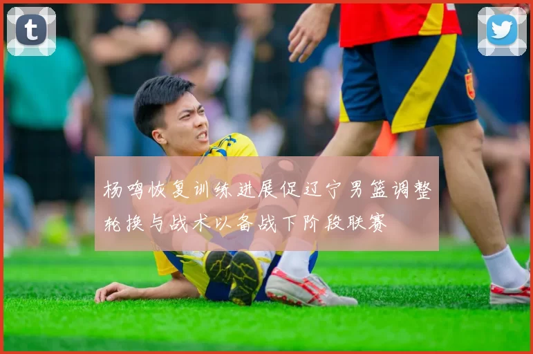 杨鸣恢复训练进展促辽宁男篮调整轮换与战术以备战下阶段联赛