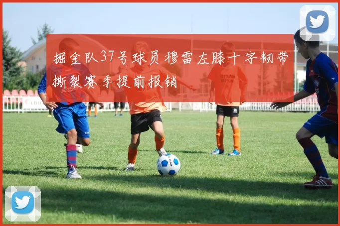 掘金队37号球员穆雷左膝十字韧带撕裂赛季提前报销